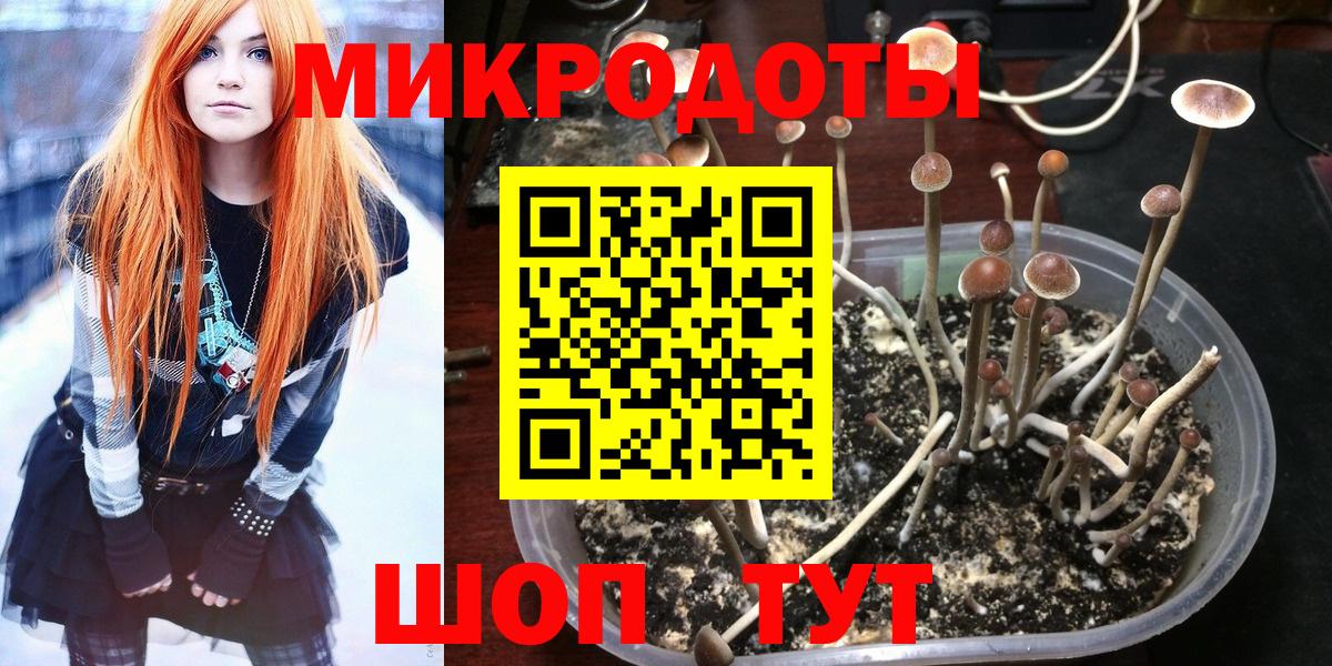Галлюциногенные грибы Magic Shrooms  Вход с VPN  купить   Аша 